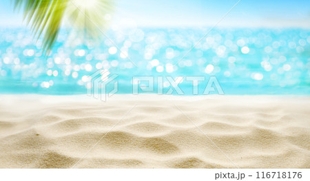 The beach is sunny with clear water, golden sand, and palm leaves, creating a tropical environment The beach is sunny with clear water, golden sand, and palm leaves, creating a tropical environment 116718176