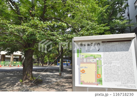晴天の十思公園 東京 晴天の十思公園 東京 116718230