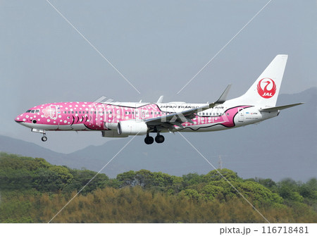 JTA B737-800福岡空港アプローチ JTA B737-800福岡空港アプローチ 116718481