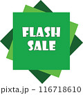 Flash Sale Vector Graphic 116718610