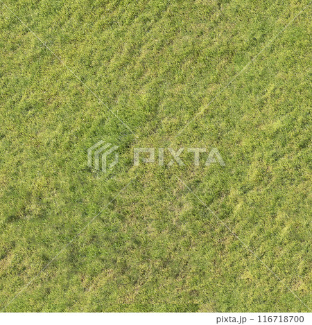 lawn grass, seamless texture, pavement, tile horizontal and vertical lawn grass, seamless texture, pavement, tile horizontal and vertical 116718700