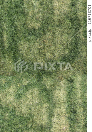 lawn grass, seamless texture, pavement, tile horizontal and vertical lawn grass, seamless texture, pavement, tile horizontal and vertical 116718701