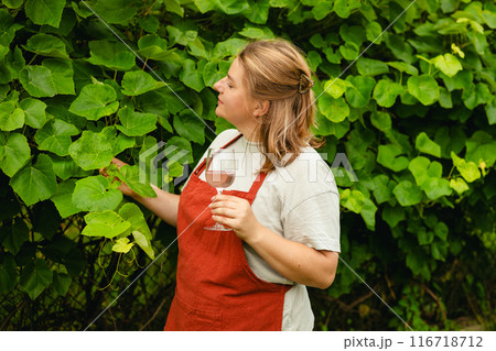 30s Woman in apron tasting red wine in vineyard. Portrait of pretty young woman holding glass of wine. Happy vintner drinks wine after successful grape harvesting, Natural wine industry. Harvest time 116718712