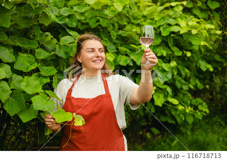30s Woman in apron tasting red wine in vineyard. Portrait of pretty young woman holding glass of wine. Happy vintner drinks wine after successful grape harvesting, Natural wine industry. Harvest time 116718713