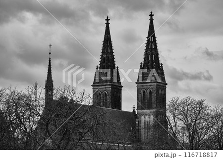 Basilica of St. Peter and St. Paul, neo-Gothic church in Vysehrad fortress in Prague, Czech Republic Basilica of St. Peter and St. Paul, neo-Gothic church in Vysehrad fortress in Prague, Czech Republic 116718817
