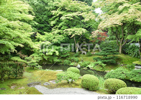 御座所庭園　泉涌寺　京都市東山区 116718990