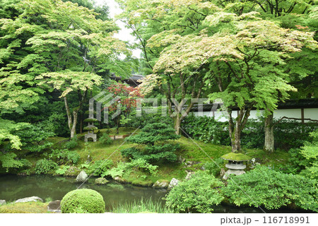 御座所庭園　泉涌寺　京都市東山区 116718991