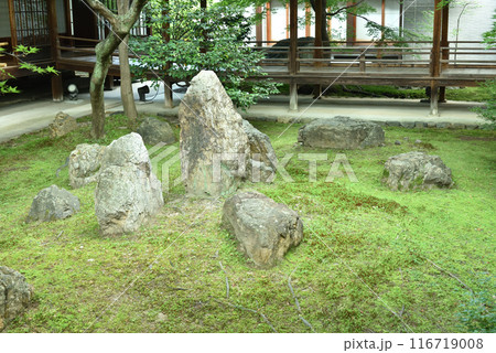 初夏の潮音庭 建仁寺 京都市東山区 初夏の潮音庭 建仁寺 京都市東山区 116719008