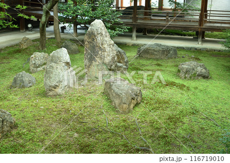 初夏の潮音庭 建仁寺 京都市東山区 初夏の潮音庭 建仁寺 京都市東山区 116719010