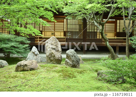 初夏の潮音庭 建仁寺 京都市東山区 初夏の潮音庭 建仁寺 京都市東山区 116719011