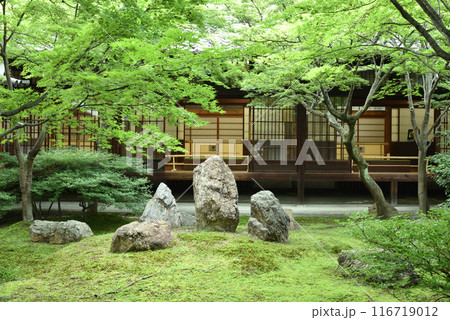 初夏の潮音庭 建仁寺 京都市東山区 初夏の潮音庭 建仁寺 京都市東山区 116719012