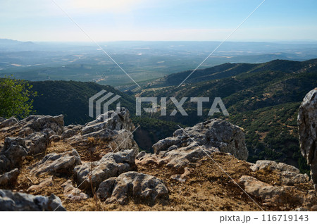 Panoramic view of lush green mountain range and farmland from rocky cliff Panoramic view of lush green mountain range and farmland from rocky cliff 116719143