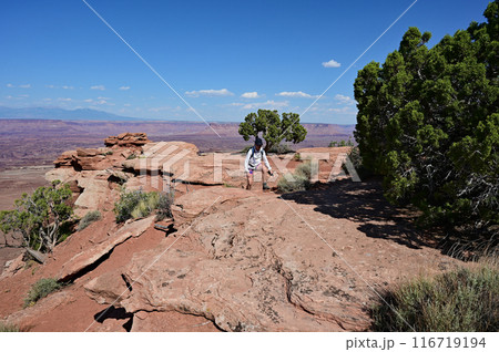 Woman hiking on White Rim Overlook Trail in Canyonlands National Park, Utah. Woman hiking on White Rim Overlook Trail in Canyonlands National Park, Utah. 116719194