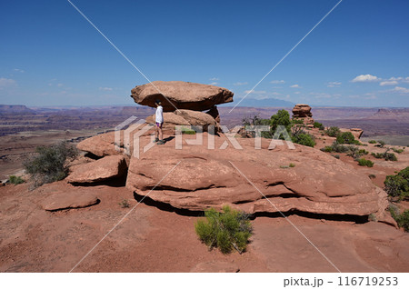 Woman hiking on White Rim Overlook Trail in Canyonlands National Park, Utah. 116719253