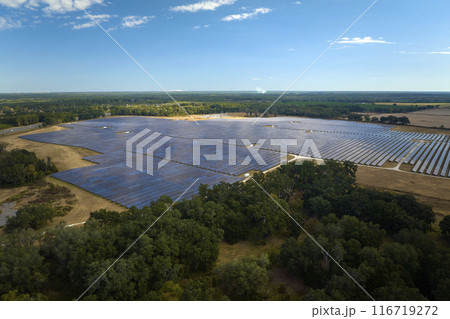 Aerial view of big sustainable electric power plant with many rows of solar photovoltaic panels for producing clean electrical energy. Renewable electricity with zero emission concept Aerial view of big sustainable electric power plant with many rows of solar photovoltaic panels for producing clean electrical energy. Renewable electricity with zero emission concept 116719272