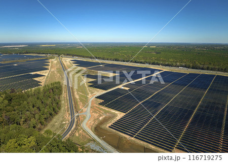 Aerial view of big sustainable electric power plant with many rows of solar photovoltaic panels for producing clean electrical energy. Renewable electricity with zero emission concept 116719275