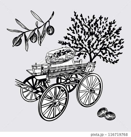 Olive twigs, tree, harvest carriage, bag of fruits. Vector illustration in graphic style. For oil labels, cosmetics, banners, cards, posters, flyers. 116719768