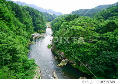 6914　鬼怒川 116719789