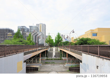 光が丘公園ふたご橋 光が丘公園ふたご橋 116719958
