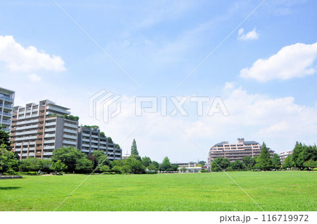 桃井原っぱ公園の風景 桃井原っぱ公園の風景 116719972