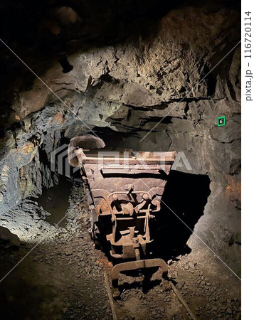 old abandoned train in the tunnel 116720114