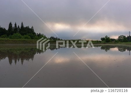 240530上野平z057 116720116