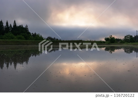 240530上野平z045 240530上野平z045 116720122