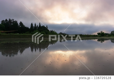 240530上野平z036 116720128