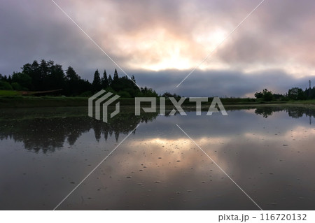 240530上野平z033 116720132