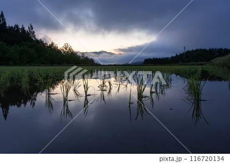 240530上野平z013 240530上野平z013 116720134