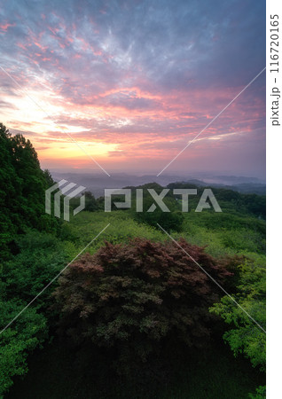 茨城県常陸大宮市 三王山自然公園 雲海に浮かぶ山並み 茨城県常陸大宮市 三王山自然公園 雲海に浮かぶ山並み 116720165
