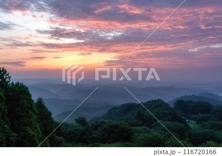 茨城県常陸大宮市　三王山自然公園　雲海に浮かぶ山並み 116720166