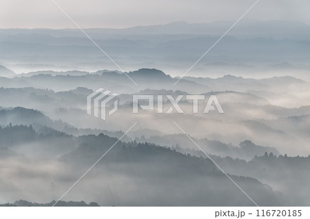 茨城県常陸大宮市　三王山自然公園　雲海に浮かぶ山並み 116720185