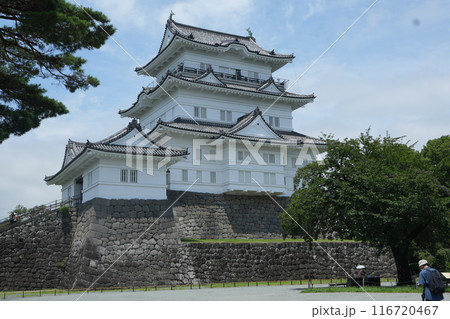 小田原城天守閣 小田原城天守閣 116720467