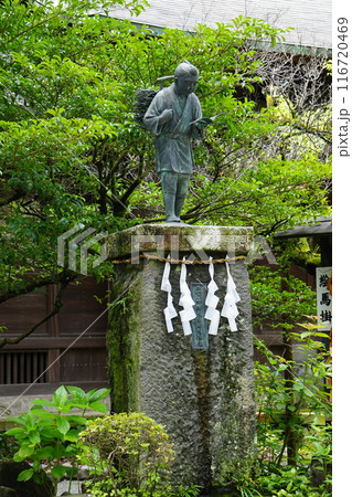 新緑に包まれた二宮金次郎像 新緑に包まれた二宮金次郎像 116720469