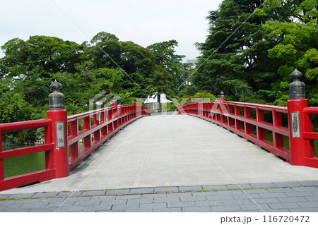 小田原城のシンボル学び橋 小田原城のシンボル学び橋 116720472