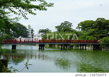 小田原城を繋ぐ学び橋 小田原城を繋ぐ学び橋 116720473