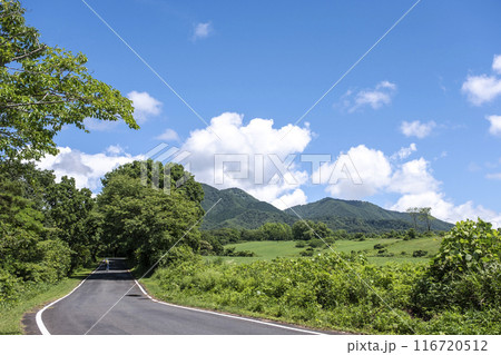 新緑・初夏のサイクリングイメージ (蒜山高原) 新緑・初夏のサイクリングイメージ (蒜山高原) 116720512