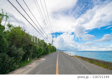 夏の海岸通りの景色 116721149