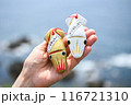 函館　湯倉神社　イカすおみくじ 116721310