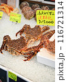 タラバガニ　露店 116721314