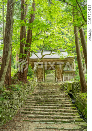 滋賀県東近江市 新緑の百済寺本坊から本堂へ続く大わらじのある仁王門 滋賀県東近江市 新緑の百済寺本坊から本堂へ続く大わらじのある仁王門 116721413