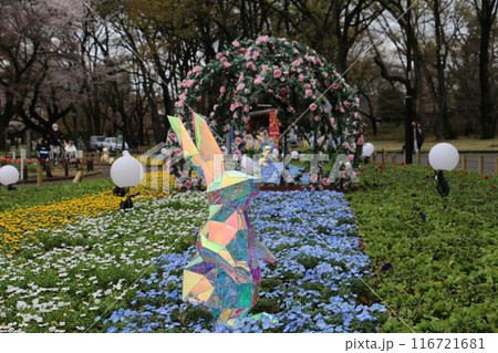 小金井公園さくらまつりを彩るオブジェ 小金井公園さくらまつりを彩るオブジェ 116721681