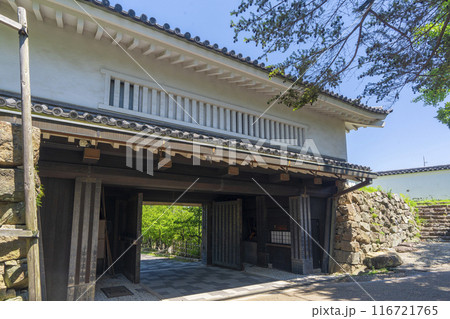 岸和田城　緑に包まれた大手櫓門 116721765