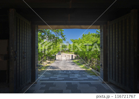 岸和田城　大手櫓門と土橋 116721767