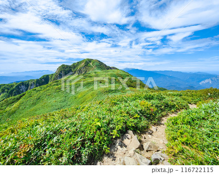 夏の雨飾山登山（笹平と雨飾山山頂） 116722115