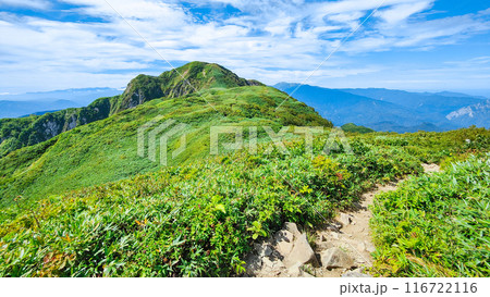 夏の雨飾山登山（笹平と雨飾山山頂） 116722116