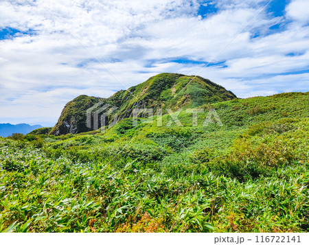 夏の雨飾山登山(笹平~山頂) 夏の雨飾山登山(笹平~山頂) 116722141