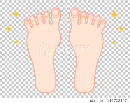 健康美麗的腳趾甲插畫素材 116722147