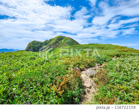 夏の雨飾山登山(笹平~山頂) 夏の雨飾山登山(笹平~山頂) 116722159